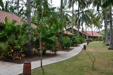 Cocotinos Sekotong Lombok